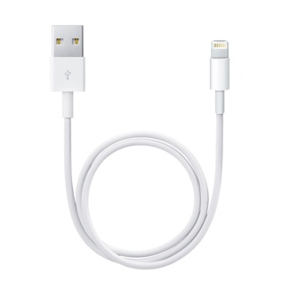 Apple Lightning / USB (Weiß)