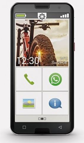 Emporia SMART.5 14 cm (5.5 Zoll) Single SIM Android 10.0 4G USB Typ-C 3 GB 32 GB 3550 mAh Schwarz