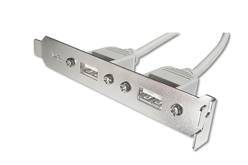 ASSMANN Electronic AK-300301-002-E USB Kabel