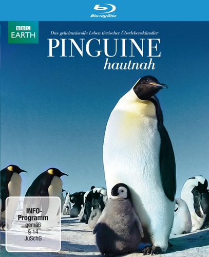 WVG Pinguine hautnah Blu-ray Deutsch, Englisch