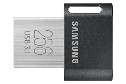 Samsung MUF-256AB USB-Stick 256 GB USB Typ-A 3.2 Gen 1 (3.1 Gen 1) Grau, Silber (Grau, Silber)