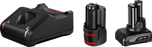 Bosch 1 x GBA 12V 2.0Ah + 1 x GBA 12V 4.0Ah + GAL 12V-40 Professional Haushaltsbatterie AC