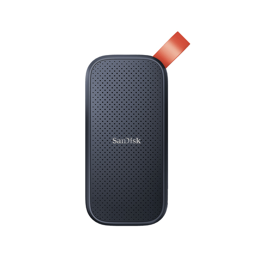 SanDisk Portable 1000 GB Blau