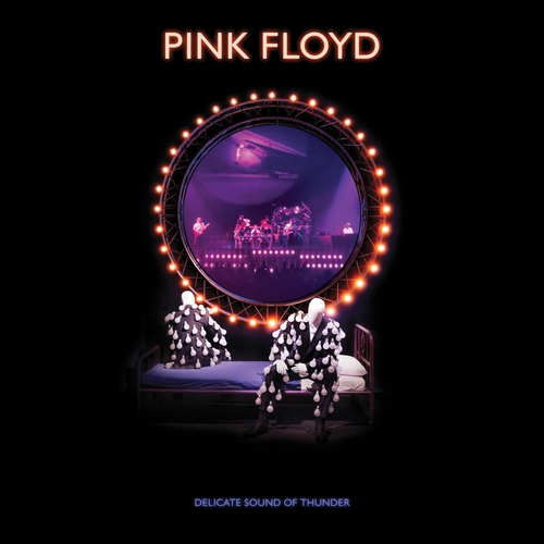 Warner Music Pink Floyd - Delicate Sound of Thunder CD Rock