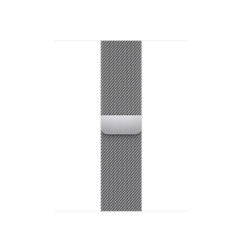 Apple MTJN3ZM/A Intelligentes tragbares Accessoire Band Silber Edelstahl (Silber)