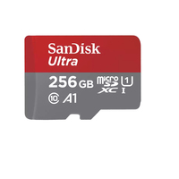 SanDisk SDSQUAC-256G-GN6FA Speicherkarte 256 GB MicroSDXC UHS-I (Grau, Rot)