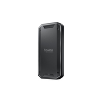 SanDisk PRO-G40 1 TB Schwarz
