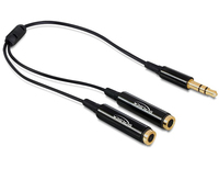 DeLOCK Kabel Audio Klinkenstecker 3,5 mm > 2 x Klinkenbuchse 25 cm (Schwarz)