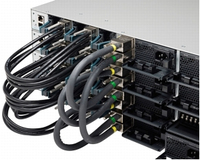 Cisco StackWise-480, 50cm