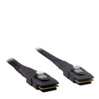 Inter-Tech 88885238 Serial Attached SCSI (SAS)-Kabel (Schwarz)