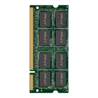PNY 2GB PC2-6400 800MHz DDR2 (Grün)