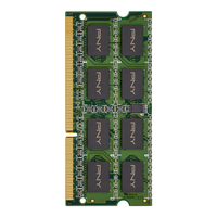 PNY 4GB PC3-12800 1600MHz DDR3 4GB DDR3 1600MHz Speichermodul (Grün)