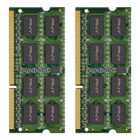 PNY 8GB (2x4GB) PC3-12800 1600MHz DDR3 8GB DDR3 1600MHz Speichermodul (Grün)