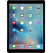 Apple iPad Pro 256GB Grau (Grau)