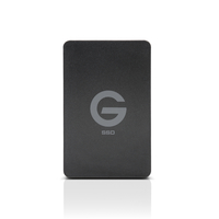 G-Technology G-DRIVE ev RaW 1000GB Schwarz Externe Festplatte (Schwarz)