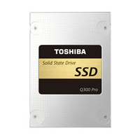 Toshiba 256GB Q300 Pro 256GB (Metallisch)