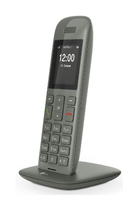 Telekom Speedphone 11 Kabelloses Mobilteil TFT Graphit IP-Telefon (Graphit)