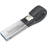 Sandisk iXpand 256GB 256GB USB 3.0 (3.1 Gen 1) Typ A Schwarz, Silber USB-Stick (Schwarz, Silber)