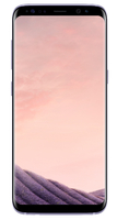 Samsung Galaxy S8 SM-G950F 4G 64GB Grau Smartphone (Grau)