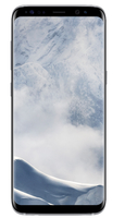 Samsung Galaxy S8 SM-G950F 4G 64GB Silber Smartphone (Silber)