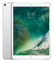 Apple iPad Pro 256GB Silber Tablet (Silber)