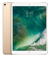 Apple iPad Pro 256GB Gold Tablet (Gold)