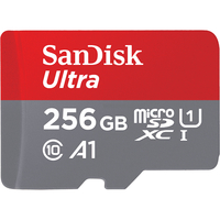Sandisk ULTRA 256GB MicroSDXC Klasse 10 Speicherkarte (Grün, Rot)