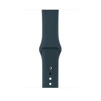 Apple MQUX2ZM/A Watch strap Fluor-Elastomer Türkis Uhrenarmband (Türkis)