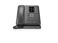 Gigaset Maxwell C IP-Telefon Schwarz TFT (Schwarz)