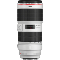 Canon EF 70-200mm f/2.8L IS III USM (Schwarz, Weiß)