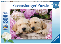 Ravensburger 300 XXL Teilen - Süße Hunde Im Körbchen
