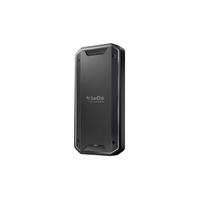 SanDisk PRO-G40 4 TB Schwarz