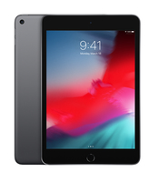 Apple iPad mini 256 GB 20,1 cm (7.9 Zoll) Wi-Fi 5 (802.11ac) iOS 12 Grau (Grau)