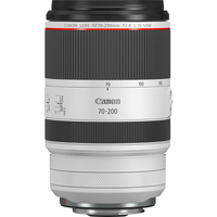 Canon RF 70-200mm F2.8L IS USM Objektiv (Schwarz, Weiß)