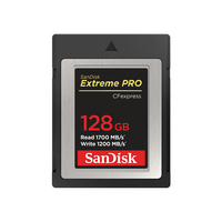 SanDisk SDCFE-128G-GN4NN Speicherkarte 128 GB CFexpress (Schwarz)