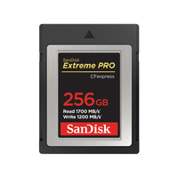 SanDisk SDCFE-256G-GN4NN Speicherkarte 256 GB CFexpress (Schwarz)
