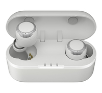 Panasonic RZ-S300W Kopfhörer Kabellos im Ohr Musik Bluetooth Weiß (Weiß)