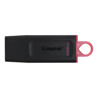 Kingston Technology DataTraveler Exodia USB-Stick 256 GB USB Typ-A 3.2 Gen 1 (3.1 Gen 1) Schwarz (Schwarz)