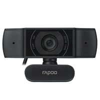 Rapoo XW170 Webcam 1280 x 720 Pixel USB 2.0 Schwarz (Schwarz)