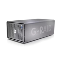SanDisk G-RAID 2 Disk-Array 12 TB Desktop Edelstahl (Edelstahl)