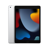 Apple iPad 4G LTE 256 GB 25,9 cm (10.2 Zoll) Wi-Fi 5 (802.11ac) iPadOS 15 Silber (Silber)