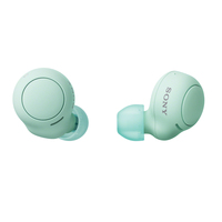 Sony WF-C500 Kopfhörer True Wireless Stereo (TWS) im Ohr Anrufe/Musik Bluetooth Grün (Grün)