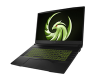 MSI Alpha 17 B5EEK-030 Notebook 43,9 cm (17.3 Zoll) Full HD AMD Ryzen&trade; 5 16 GB DDR4-SDRAM 512 GB SSD AMD Radeon RX 6600M Wi-Fi 6E (802.11ax) Windows 11 Home Schwarz (Schwarz)