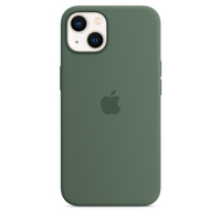 Apple iPhone 13 Silikon Case mit MagSafe - Eukalyptus (Grün)