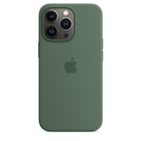 Apple iPhone 13 Pro Silikon Case mit MagSafe - Eukalyptus (Grün)