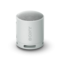 Sony SRS-XB100 Tragbarer Mono-Lautsprecher Grau (Grau)