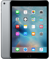 Apple iPad mini 4 (Grau)