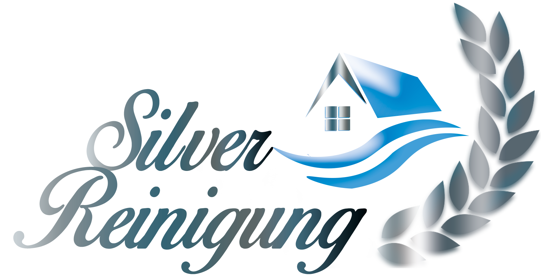Silver Umzug und Reinigung in Olten