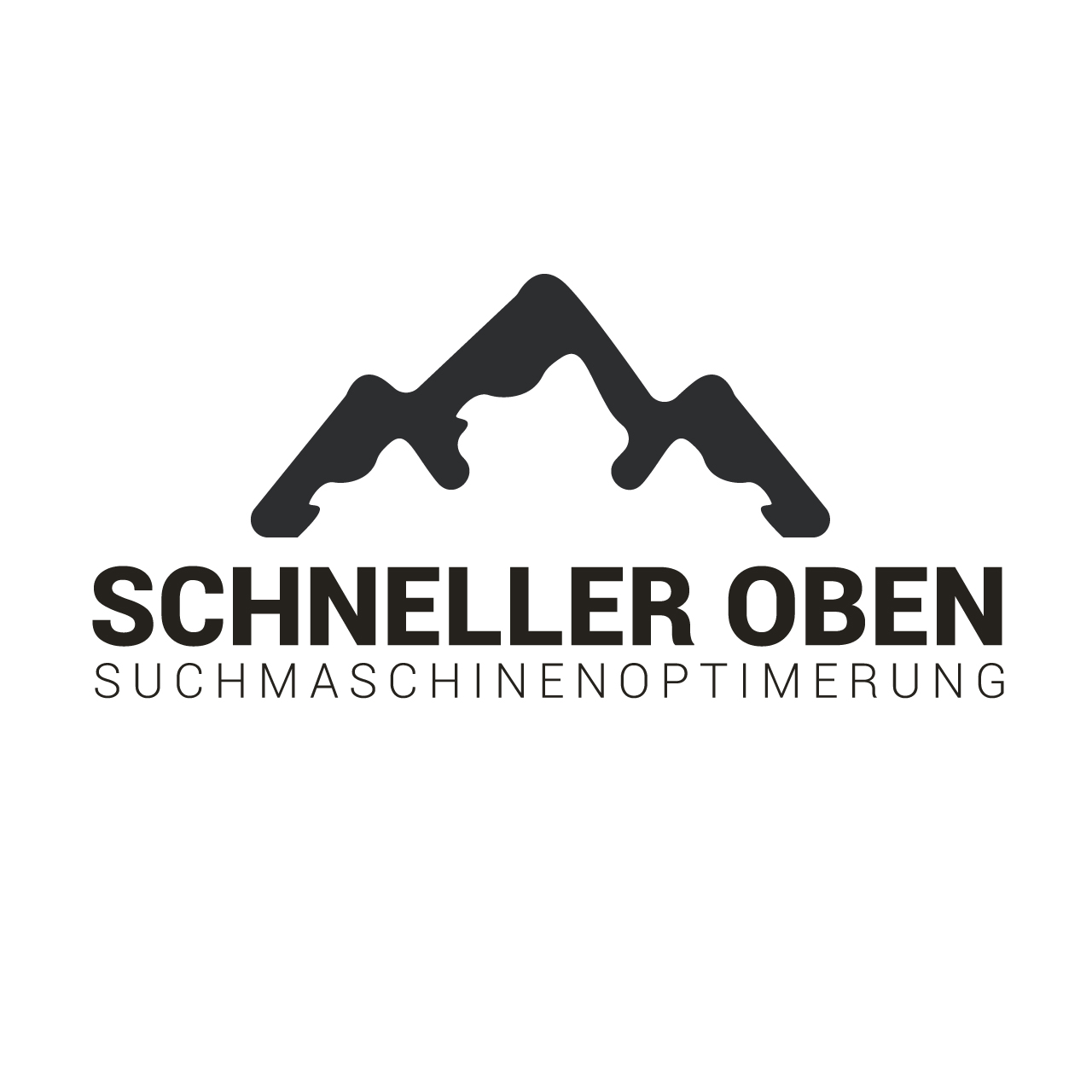 Schneller Oben - SEO Agentur in Pulheim