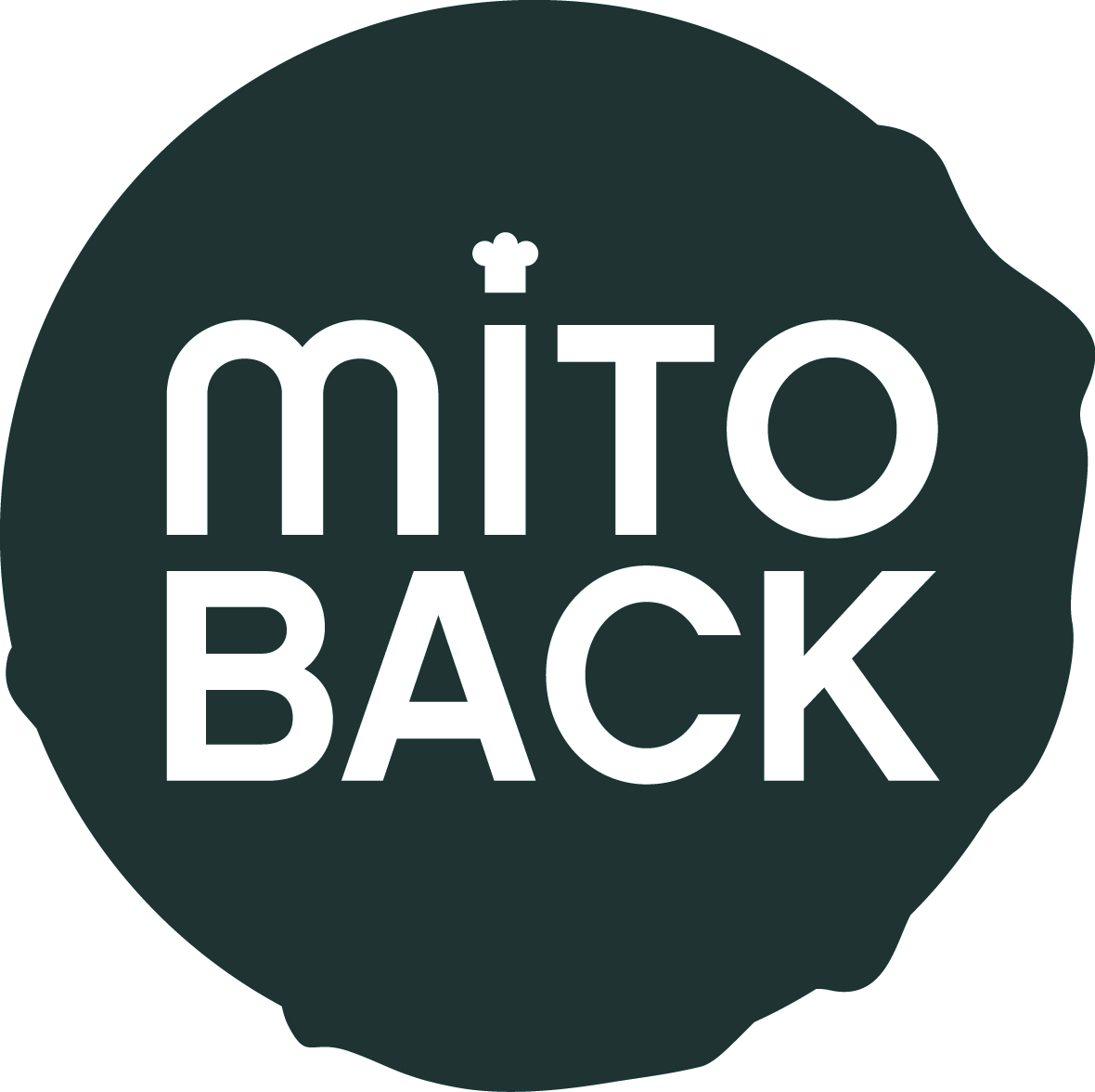 MITOBACK in Potsdam